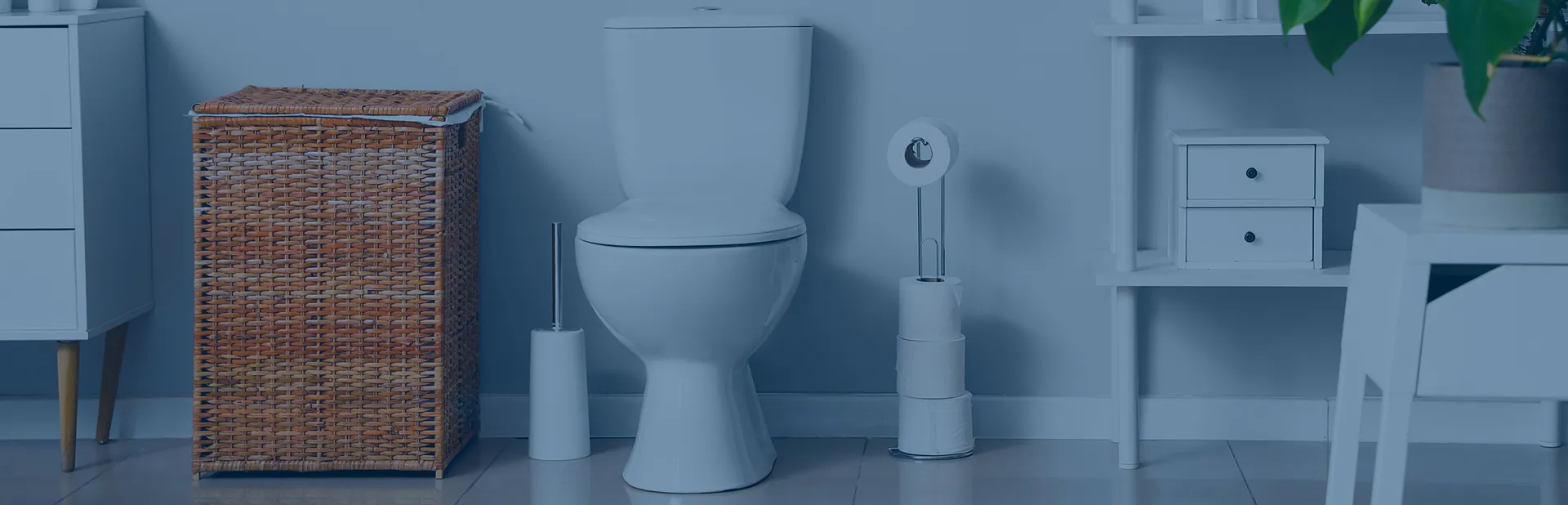 Toilettes solution