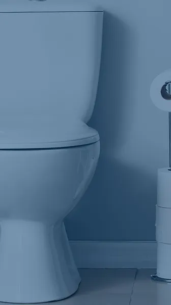 Toilettes solution